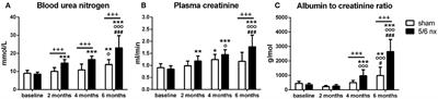 Behavioral Changes During Development of Chronic Kidney Disease in Rats